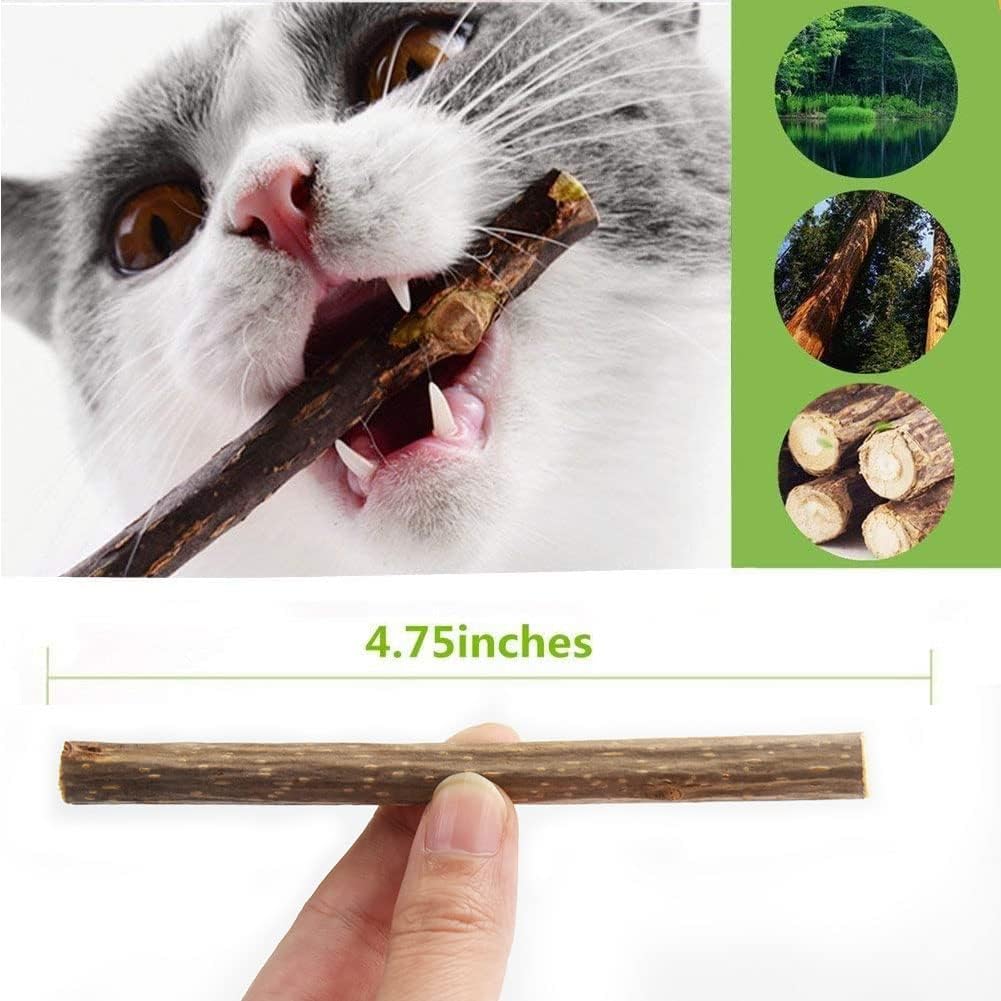 Katzenminze-Sticks (32 Stk.) – Natürlich & Zahnpflegend