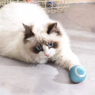 360° Katzenspielball mit LED & USB – Interaktives Katzenspielzeug