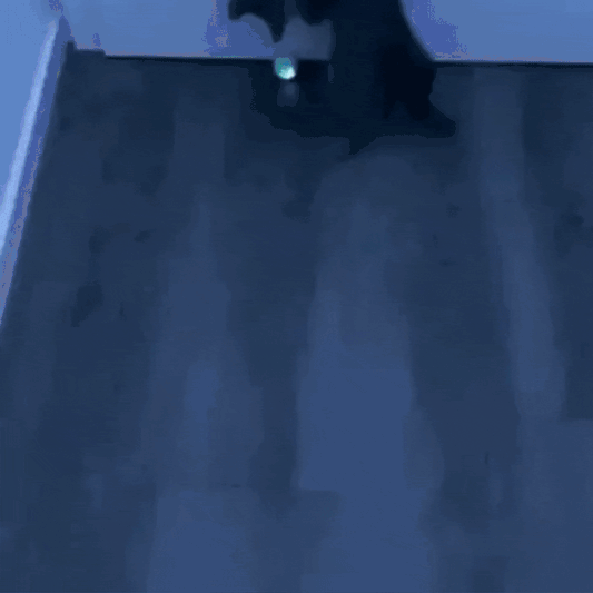 SmartPaws™ - Der Langeweile-Killer