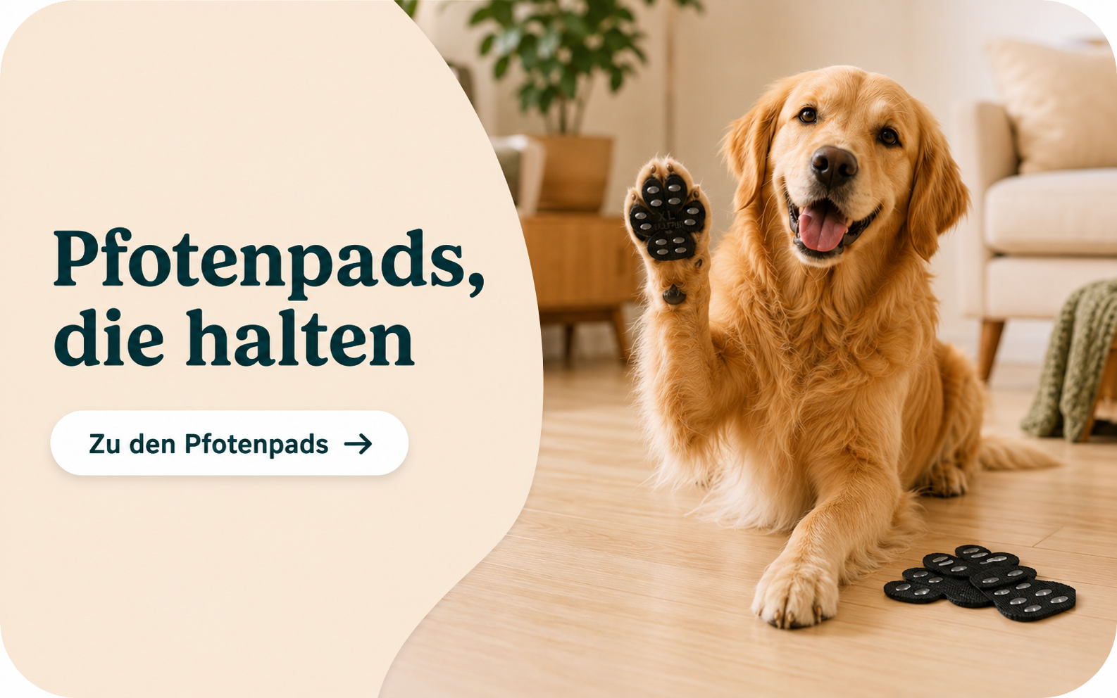Hund zeigt seine Pfote mit angebrachtem Anti-Rutsch-Pad