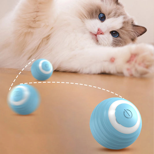 Feline Frolic Elektrischer Spielball
